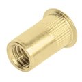 Goebel Rivet Nut, 5/16"-18 Thread Size, Steel, 250 PK LKS4-518-312